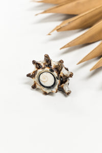 Bali Shell Rings | Shop Bali Queen