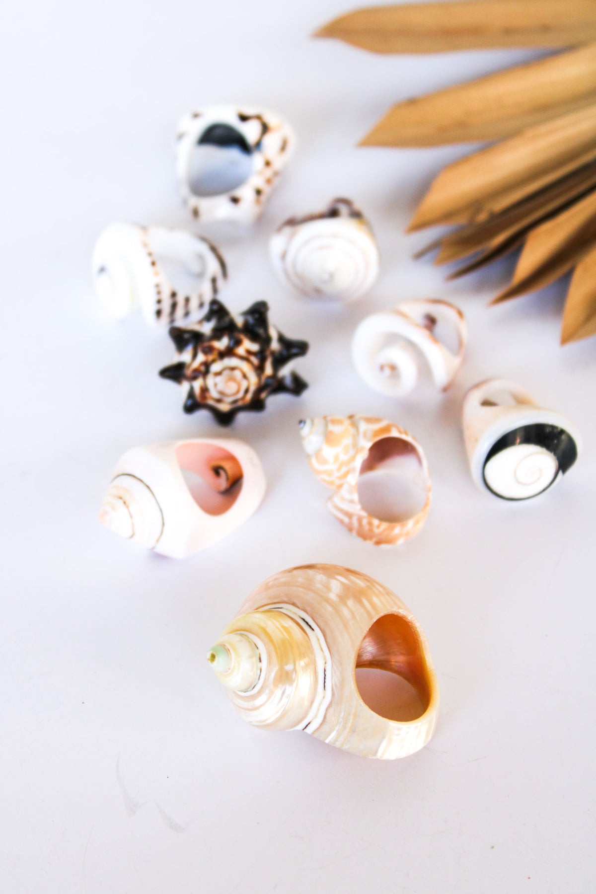 Bali Shell Rings