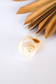 Pearl Turbo Shell Ring