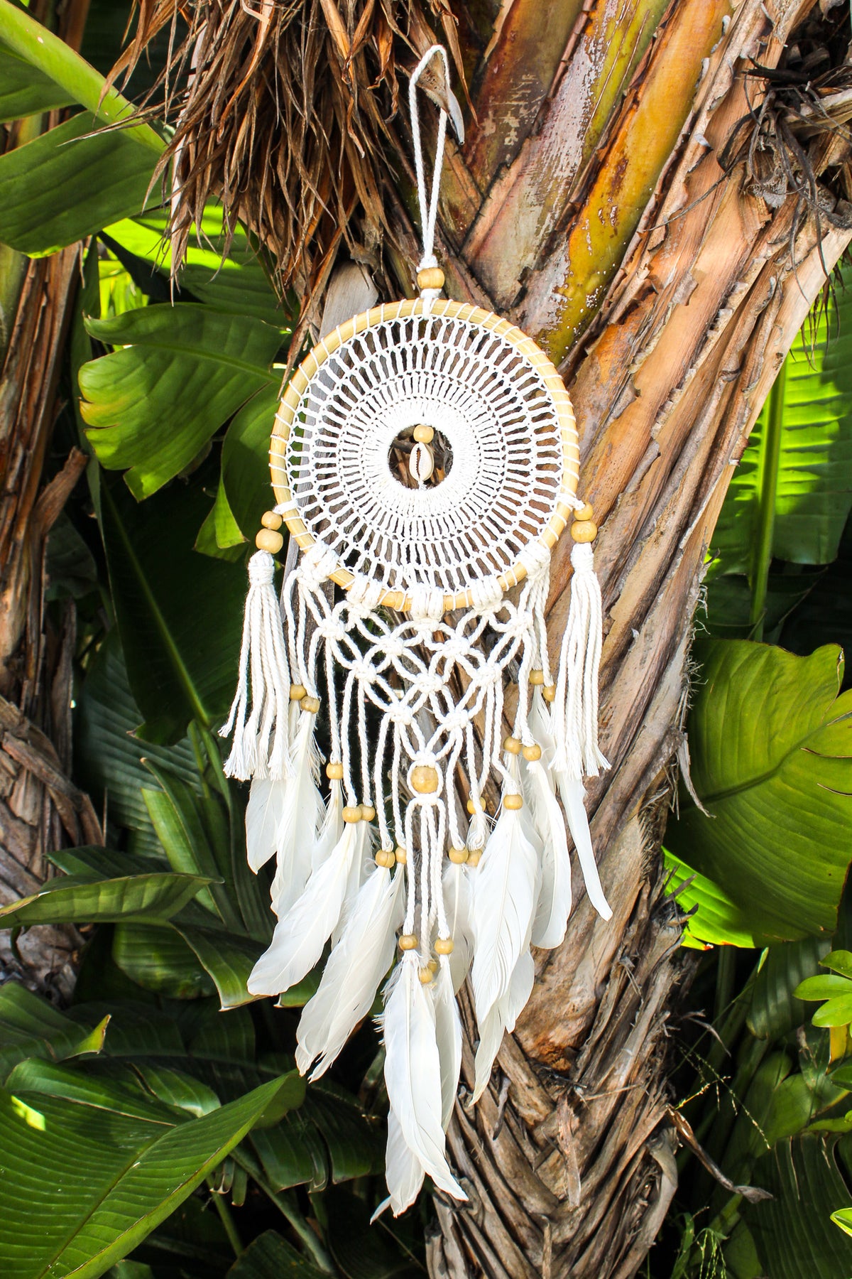 7" Crochet Dreamcatcher w/ Shell & Tassel