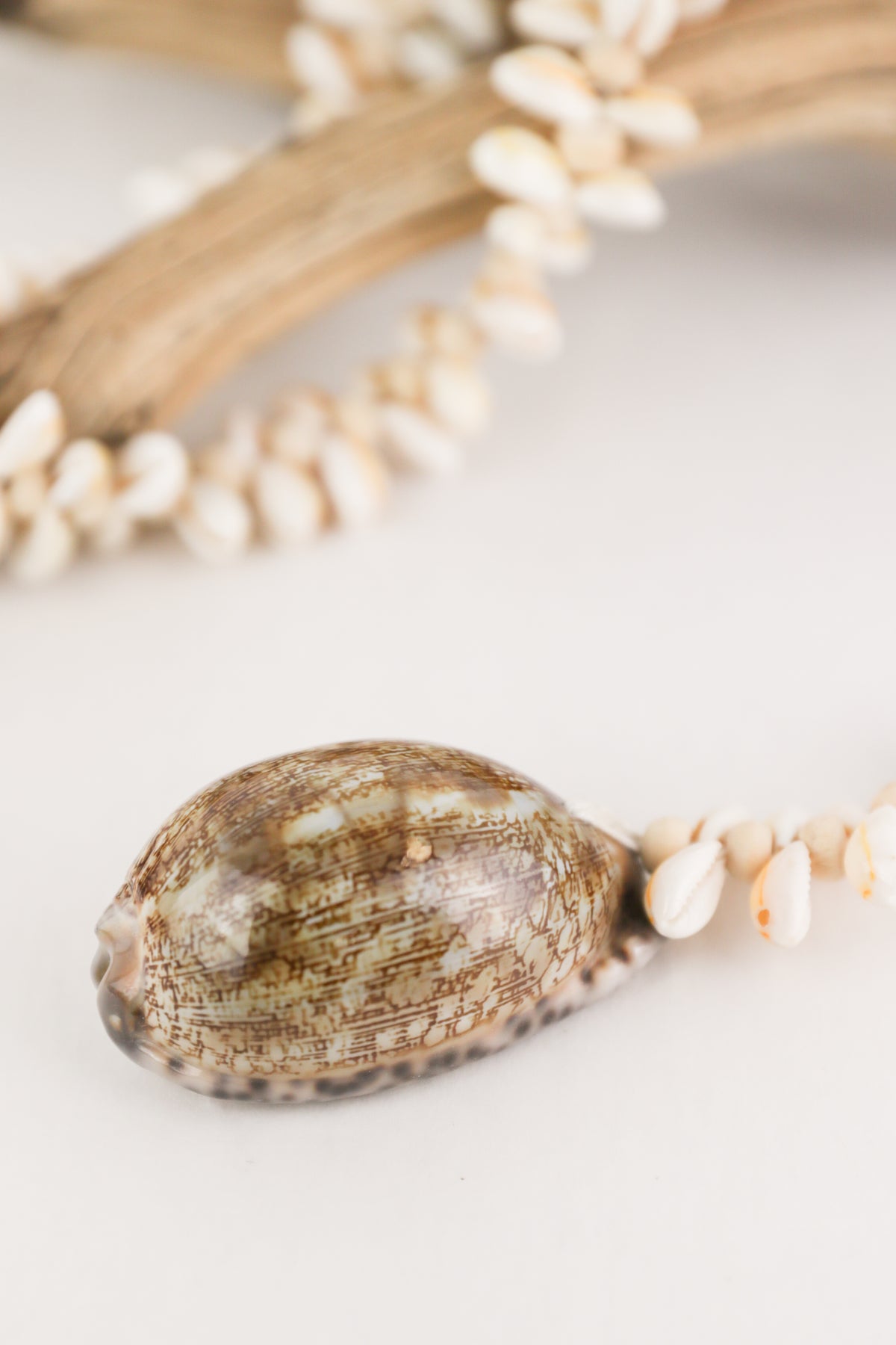 Fiji Stone Shell Necklace
